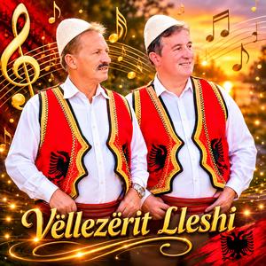 n'Mitrovicë me ngrit flamurin