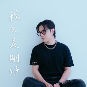 我只是剛好 I Was Only Passing By