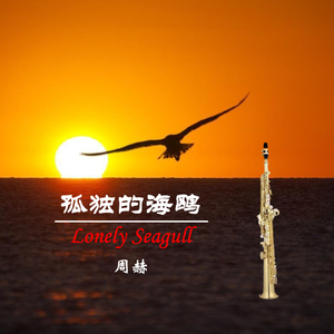 孤独的海鸥