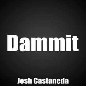 Dammit (Instrumental) (Instrumental)