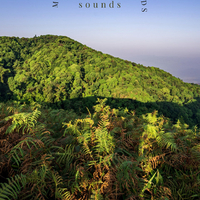 Peaceful Nature Sounds资料,Peaceful Nature Sounds最新歌曲,Peaceful Nature SoundsMV视频,Peaceful Nature Sounds音乐专辑,Peaceful Nature Sounds好听的歌