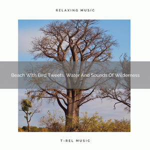 Nature Sings With Beach Vibes And White Noise