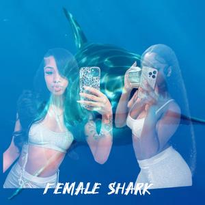 Female shark
