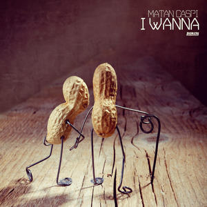 I Wanna (Original Mix)