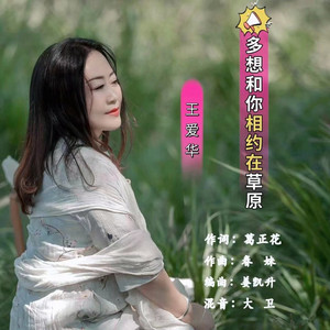 多想和你相约在草原