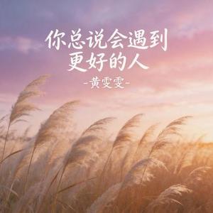 你总说会遇到更好的人