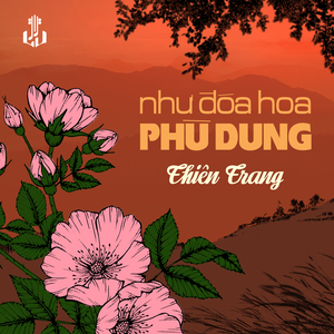 Như Đóa Hoa Phù Dung (2025 Remaster)