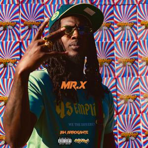 Mr.X
