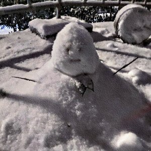 颠倒梦想(cover梁博)