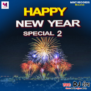 Happy New Year Special 2