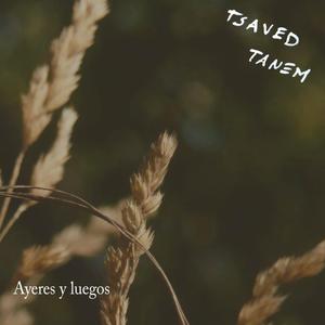 Ayeres & Luegos