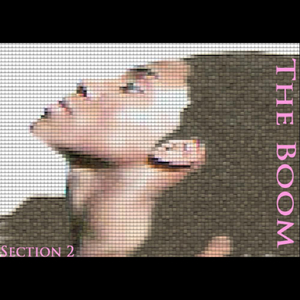 The Boom (Intro)