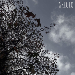 Grigio