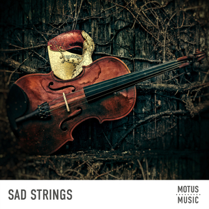 Revisiting The Scene