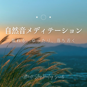 精神安定ソルフェジオ -Healing Forest- (寝落ちのピアノの森 α波→θ波→δ波)