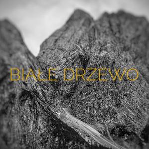 Suwerenny, Sarmata Polak