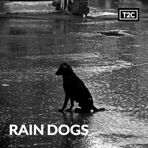 RAIN DOGS