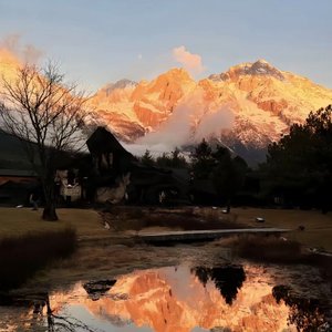 你会不会路过我的明天