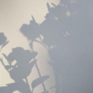 幻想(prod by 毒猫DoMore)