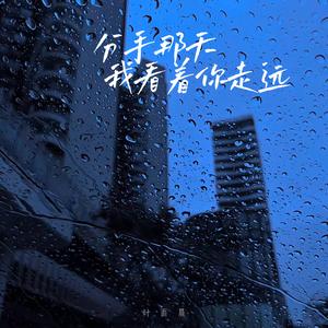 分手那天我看着你走远 (想你的夜)