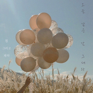 오늘 같은 날 그대와 (feat. 채하)