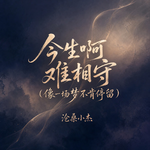今生啊难相守(像一场梦不肯停留)
