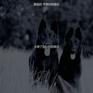 抚慰的可爱的狗回忆