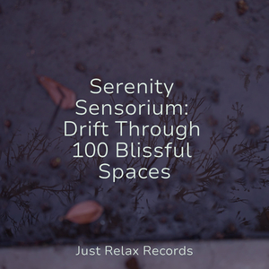 Crimson Cadence Calling