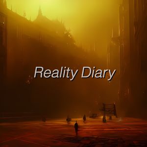 Reality Diary（Prod By 9Zi）