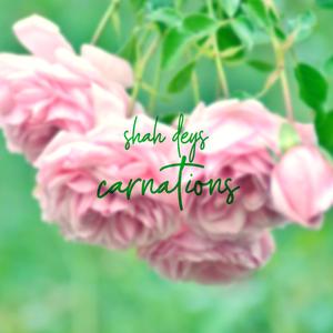 Carnations