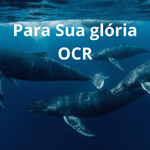 Para Sua Glória