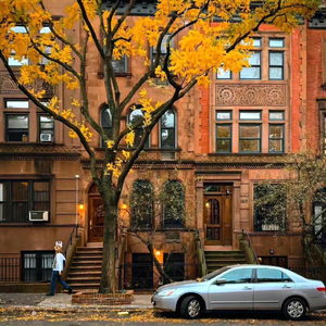 少年维特的烦恼