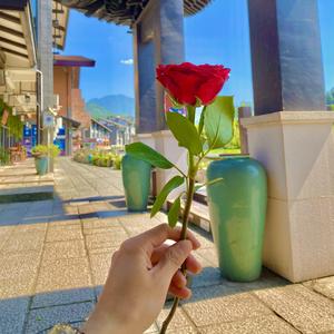 是谁盗了我的赛尔号和摩尔庄园，哼！