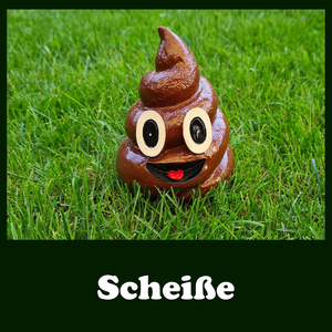 Scheiße