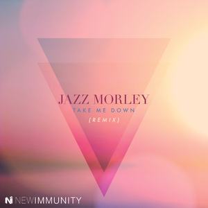 Take Me Down (New Immunity Remix)