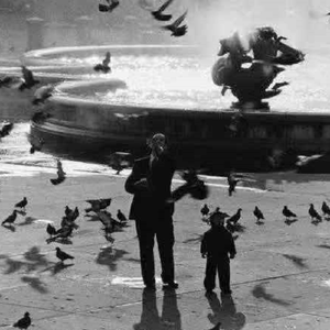 爱与和平不仅是言语