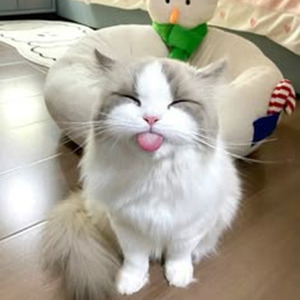 Morar Nesse Motel (slowed)