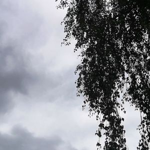 Nicht ohne euch
