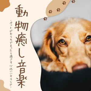 ペットストレス解消