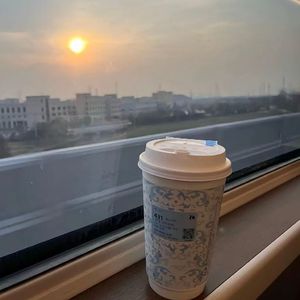 回忆是我偷来的