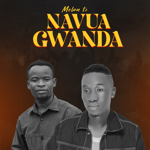 Navua Gwanda