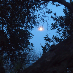 Düşmüşüm Dosttan