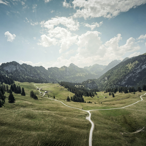 爱与希望交织的未来