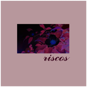 Riscos