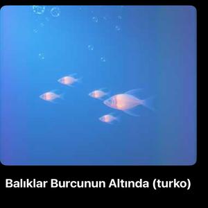 Balıklar Burcunun Altında (turkIch)