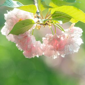 和弦解冻的河流