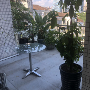 Coloring August Demo