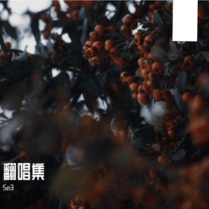 碳酸