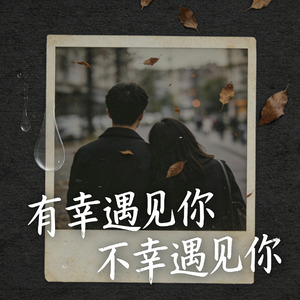 有幸遇见你（不幸遇见你）