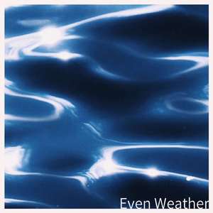 Translucent Butterfly